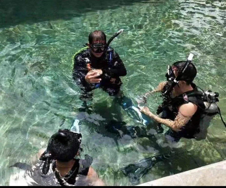 PADI Diving Courses
